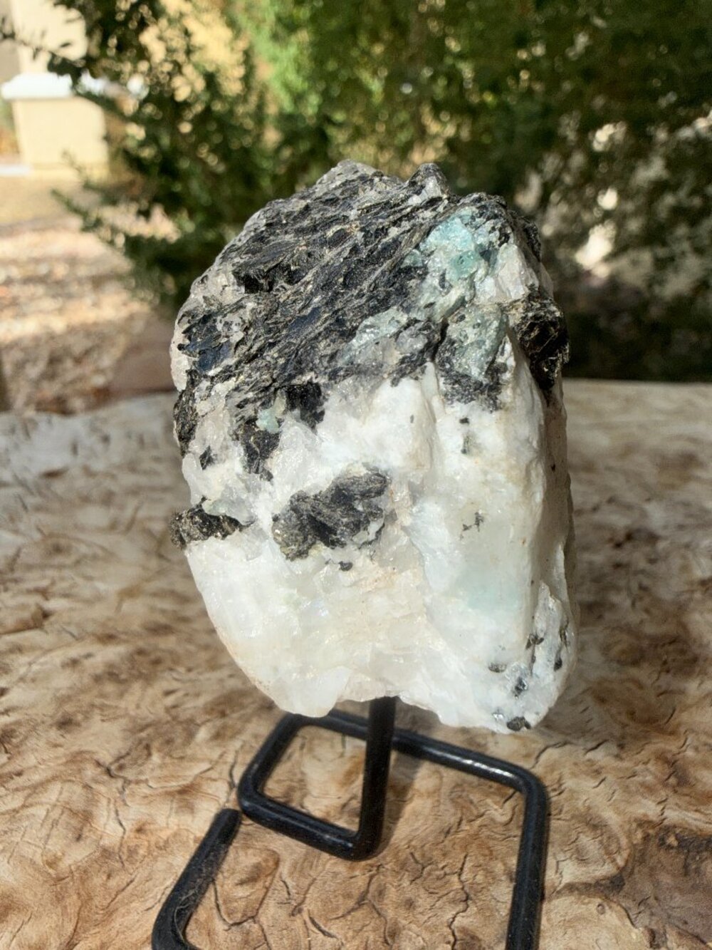 Rainbow Moonstone With Black Tourmaline Crystal on Stand